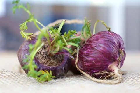 Peruvian Maca Fotos Stock
