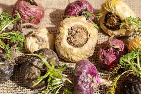 Peruvian Maca Fotos Stock