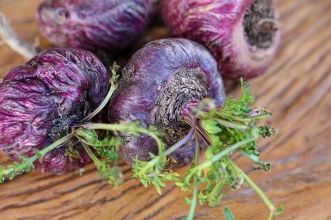 Peruvian Maca Fotos Stock