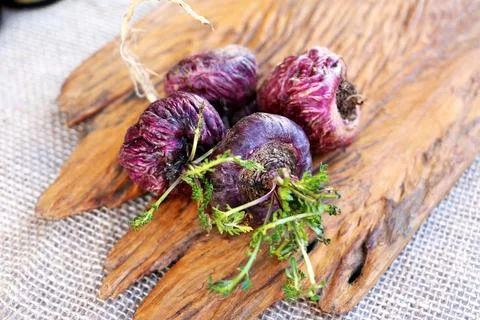 Peruvian Maca Fotos Stock