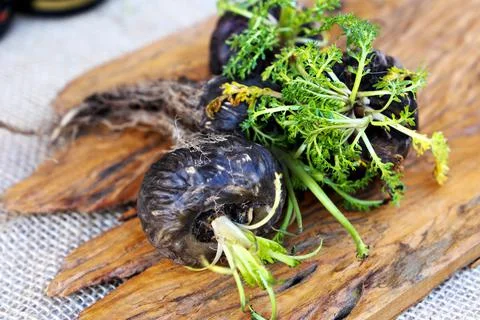 Peruvian Maca Fotos Stock