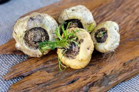 Peruvian Maca Fotos Stock
