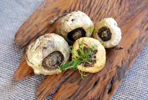 Peruvian Maca Fotos Stock