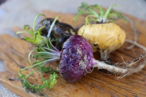 Peruvian Maca Fotos Stock