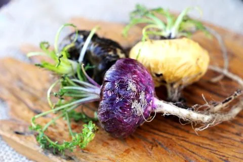 Peruvian Maca Fotos Stock