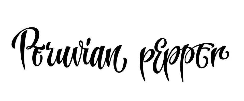 Peruvian pepper - vector hand drawn calligraphy style lettering word. Stock Illustration