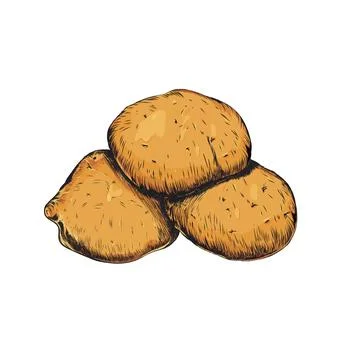 Peruvian potatoes. Stock Illustration