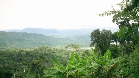 Peruvian Rainforest and Huallaga River Pan 스톡 동영상 80436416