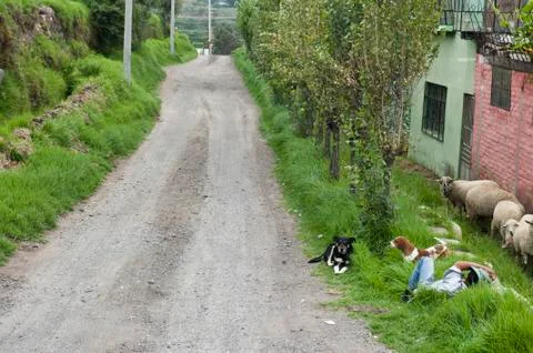 Peruvian Roadway Stock Photos