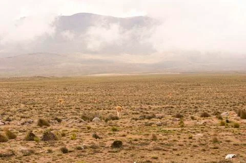 Peruvian Roadway Stock Photos