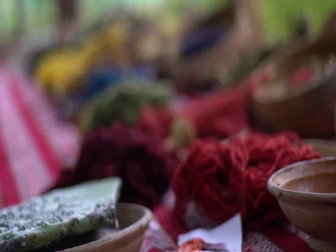 Peruvian wool from Alpaca and Llama Stock Footage 77135850