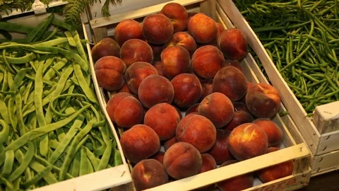 Pesche Vídeos de archivo 125029846