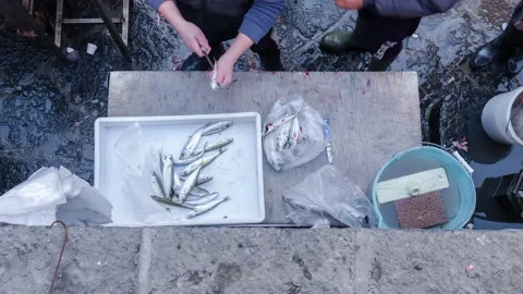 Pescheria Stock Footage 163855824