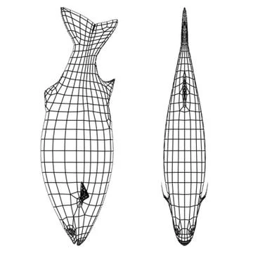 Pesciolino 3D Model