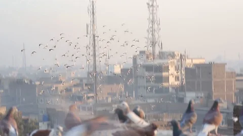 Peshawar Video stock 88228131