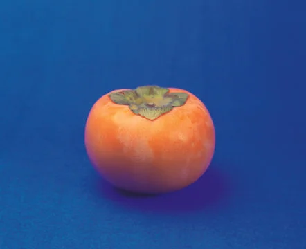 Pesimmon Stock Photos