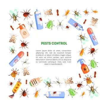 Pest Control Banner Template with Space for Text with Harmful Insects and Illustration
