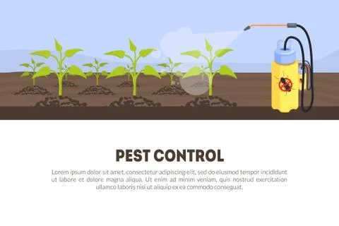 Pest Control Banner Template with Spray Insecticide and Space for Text, Spray Illustration