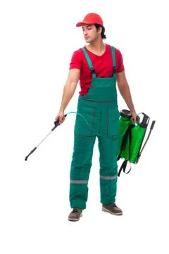 Pest control contractor isolated on white background Stock Photos