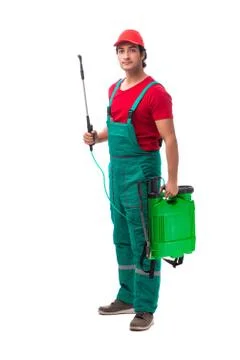 Pest control contractor isolated on white background Stock Photos