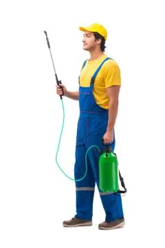 Pest control contractor isolated on white background Stock Photos