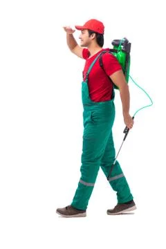 Pest control contractor isolated on white background Stock Photos
