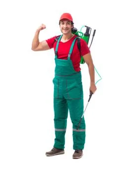 Pest control contractor isolated on white background Stock Photos