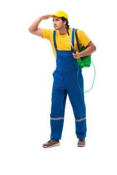 Pest control contractor isolated on white background Stock Photos