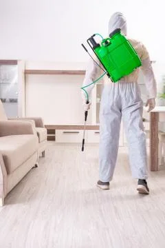 Pest control contractor working in the flat Fotos Stock