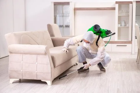Pest control contractor working in the flat Fotos Stock