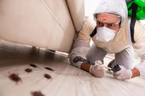 Pest control contractor working in the flat Fotos Stock