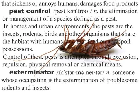 Pest Control Dead Cockroach Concept Stock-Fotos