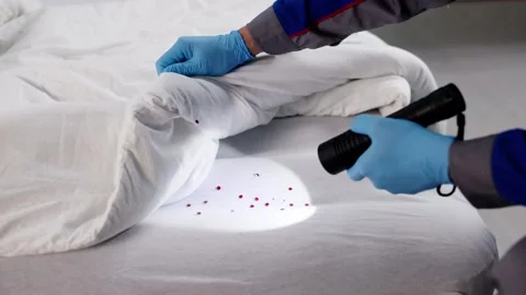 Pest Control Expert Checking Bed Stock Footage 320249998