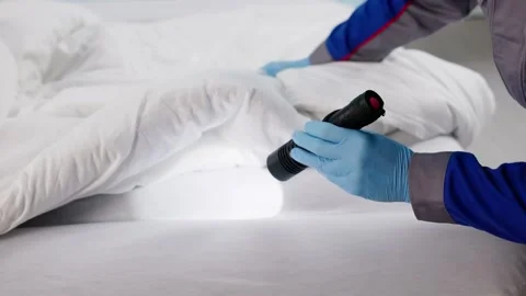 Pest Control Expert Checking Bed Stock Footage 321546956