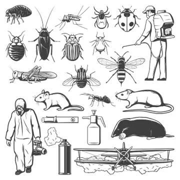 Pest control exterminator, insect and rodent icons Stock Illustration