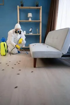 Pest control exterminator in protective suit spraying insecticide while Stock Photos