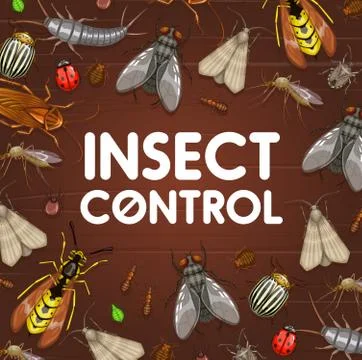 Pest control, insect disinsection. Bugs and flies Stock Illustration
