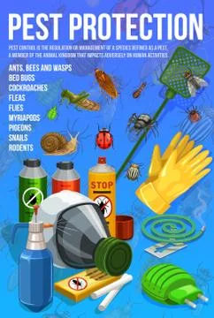 Pest control, insect protection service poster Stock Illustration