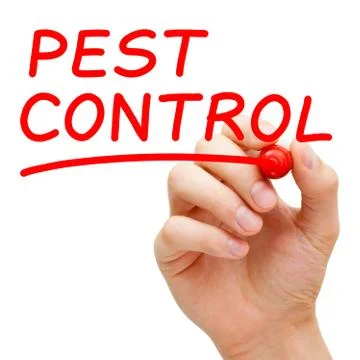 Pest control Foto stock