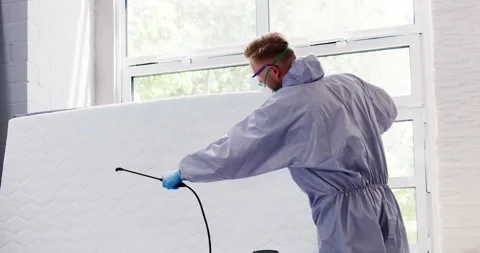 Pest Control Service. Bug Bed Treatment Stock Footage 246571091