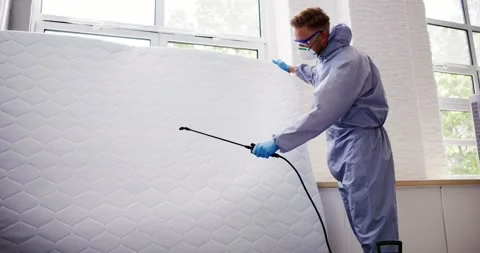 Pest Control Service. Bug Bed Treatment Stock Footage 246833448