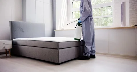 Pest Control Service. Bug Bed Treatment Stock Footage 248712701