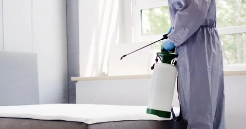 Pest Control Service. Bug Bed Treatment Stock Footage 248714699