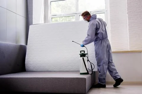 Pest Control Service. Bug Bed Treatment Stock Photos