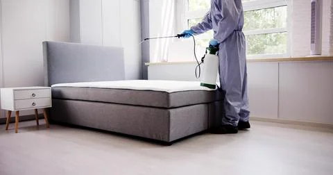 Pest Control Service. Bug Bed Treatment By Exterminator Stock Photos
