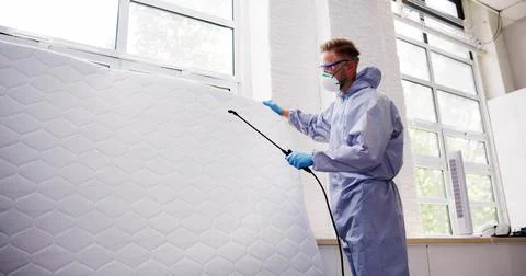 Pest Control Service. Bug Bed Treatment By Exterminator Stock Photos
