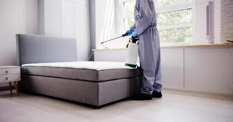 Pest Control Service. Bug Bed Treatment Stock Photos