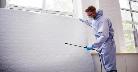 Pest Control Service. Bug Bed Treatment Stock Photos