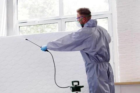 Pest Control Service. Bug Bed Treatment By Exterminator Stock Photos