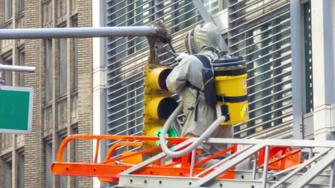 Pest control service exterminator in protective clothing suit removes wasp nest Stock Footage 276118086
